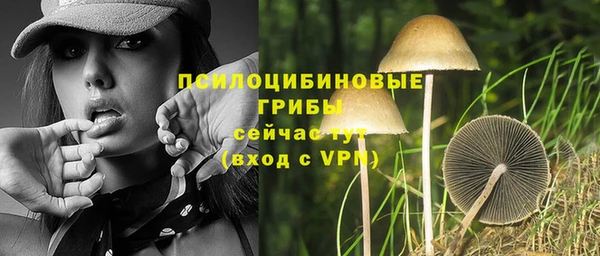mdpv Арсеньев