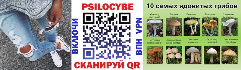 Галлюциногенные грибы ЛСД  Приморск 